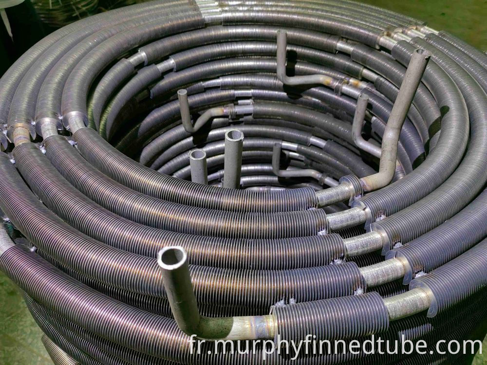 Stainless Steel Coiled Pipe